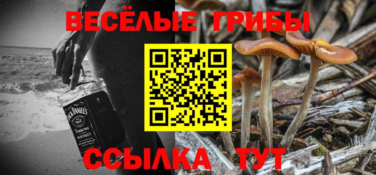 Кириши  Псилоцибиновые грибы прущие грибы  Вход с VPN  Галлюциногенные грибы Cubensis 